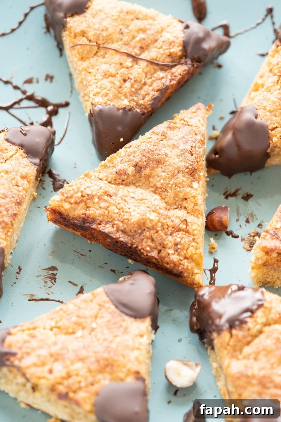 featured 4813