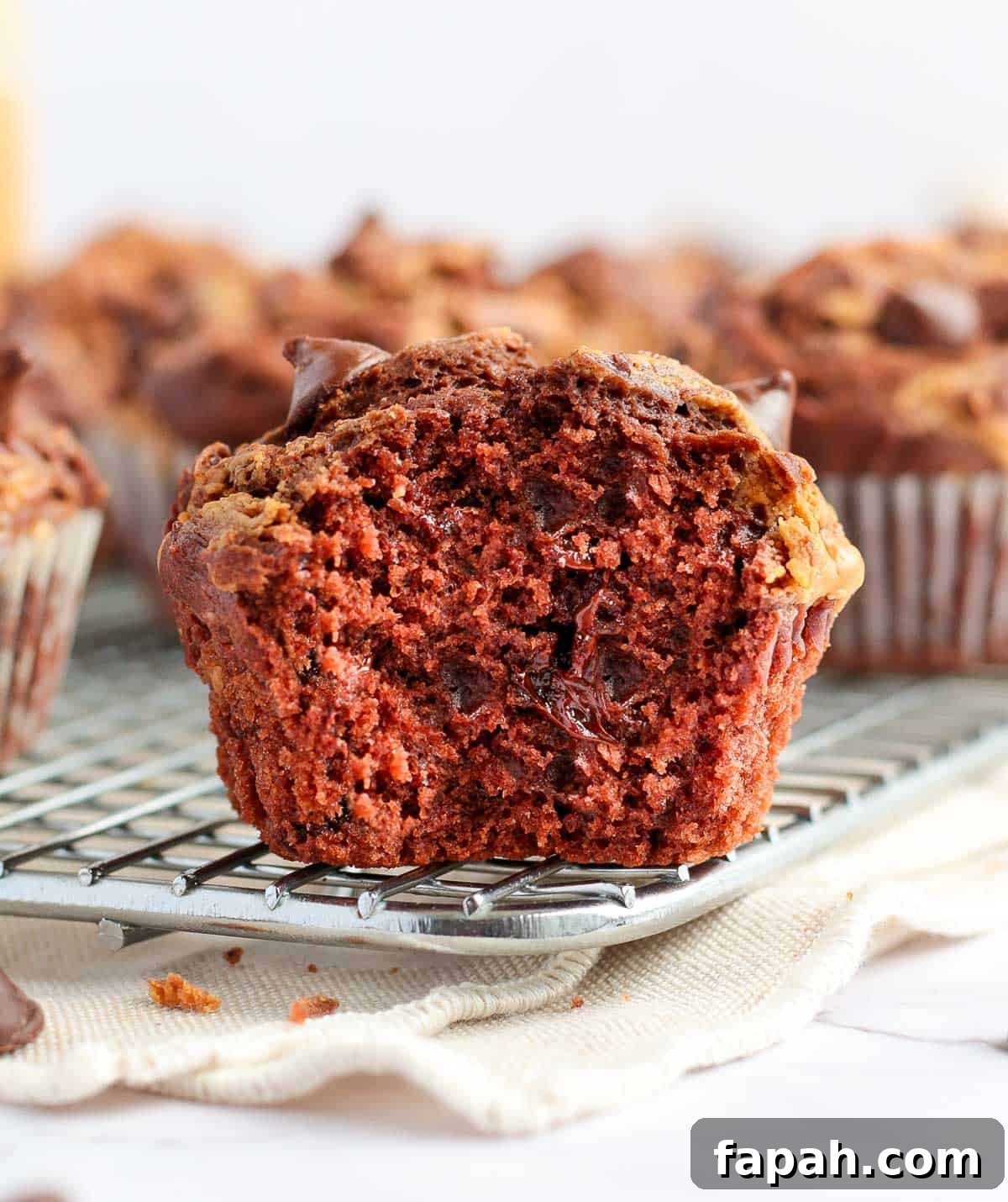 Crumb shot of a muffin with a bite taken off.