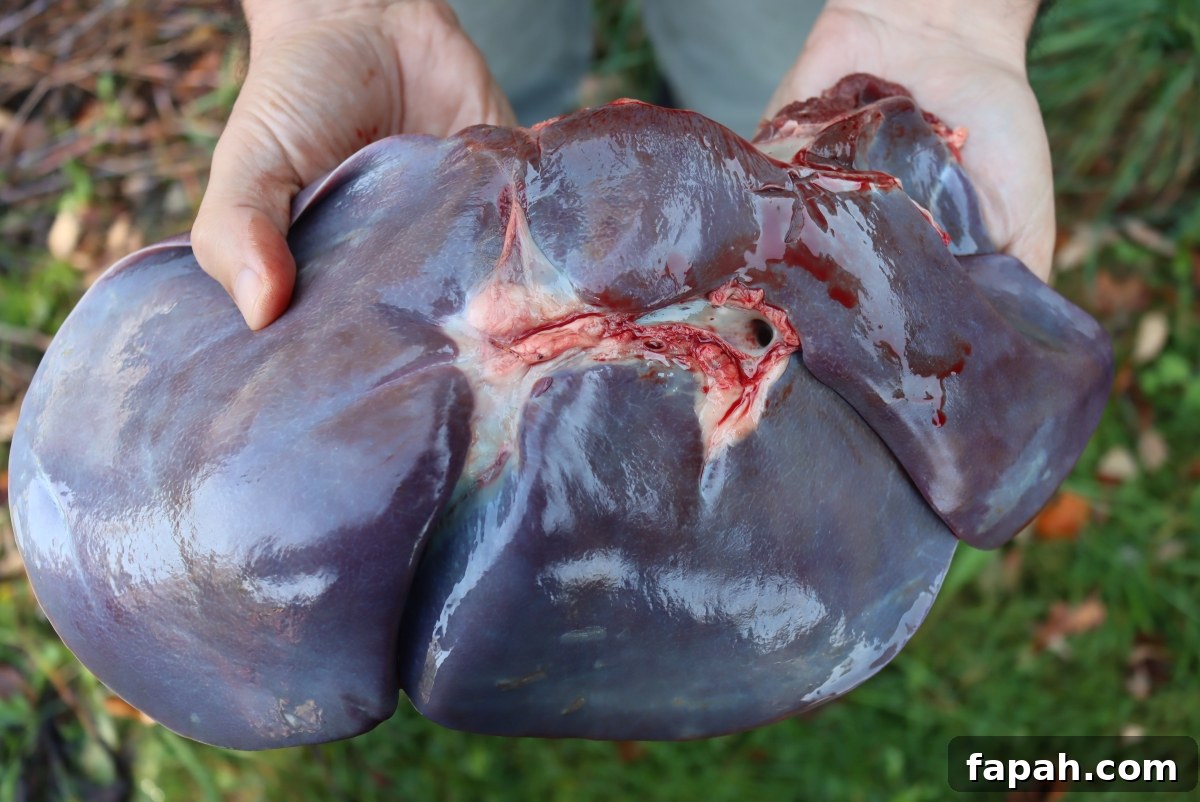 How to Cook Venison Liver: 10+ Delicious Deer Liver Recipes 2 Deer Liver