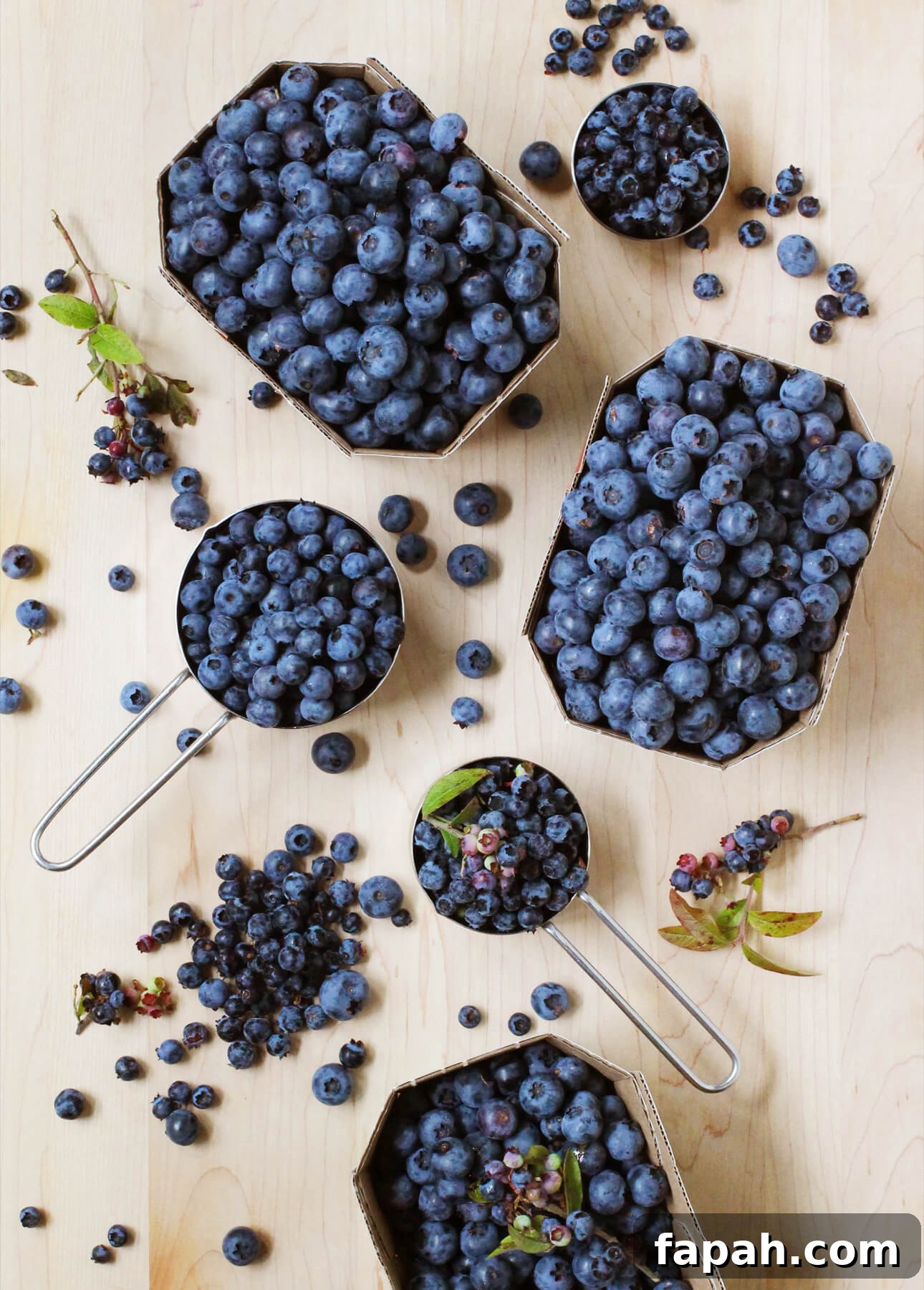 Wild blueberries provide an especially deep flavor and vibrant color to blueberry curd