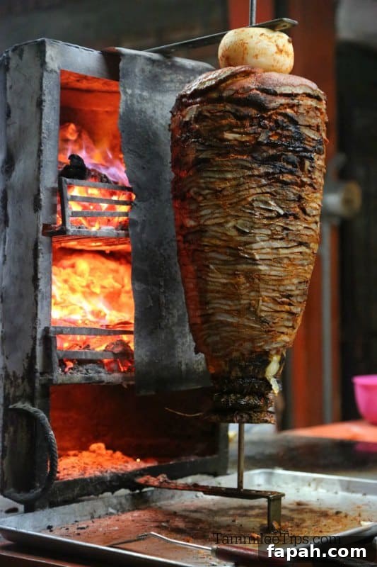 meat on a stake rotating by a fire 