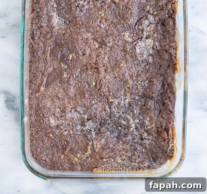 German Chocolate Dump Cake Recipe — Quick Decadent Dessert 5 easy German chocolate cake after it finishes baking