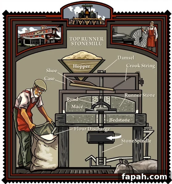 Stone Milling and Scottish Oatcakes