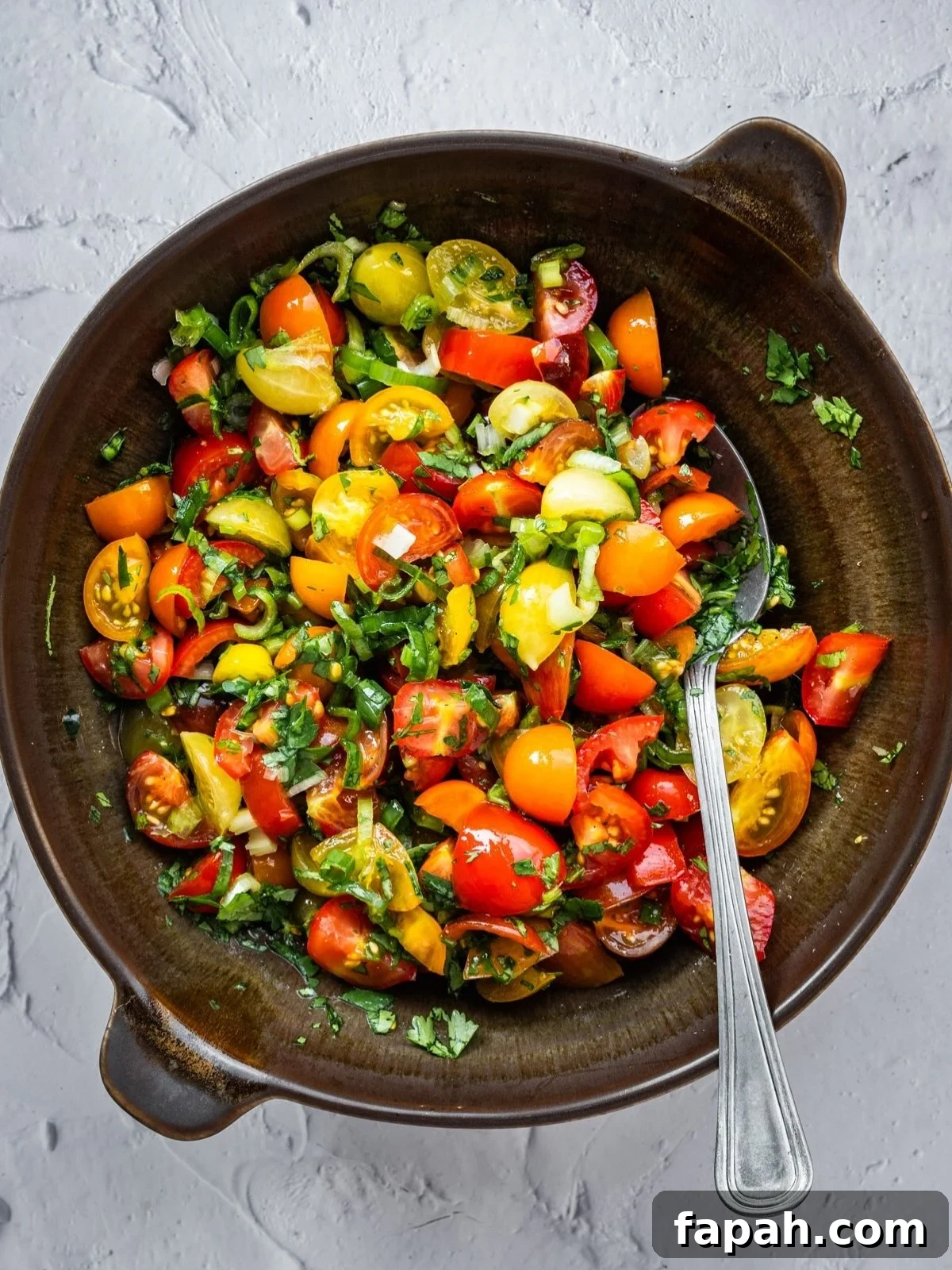 Fresh Cherry Tomato Pico de Gallo Salsa Recipe 7 Cherry tomato salsa in a bowl with a spoon.