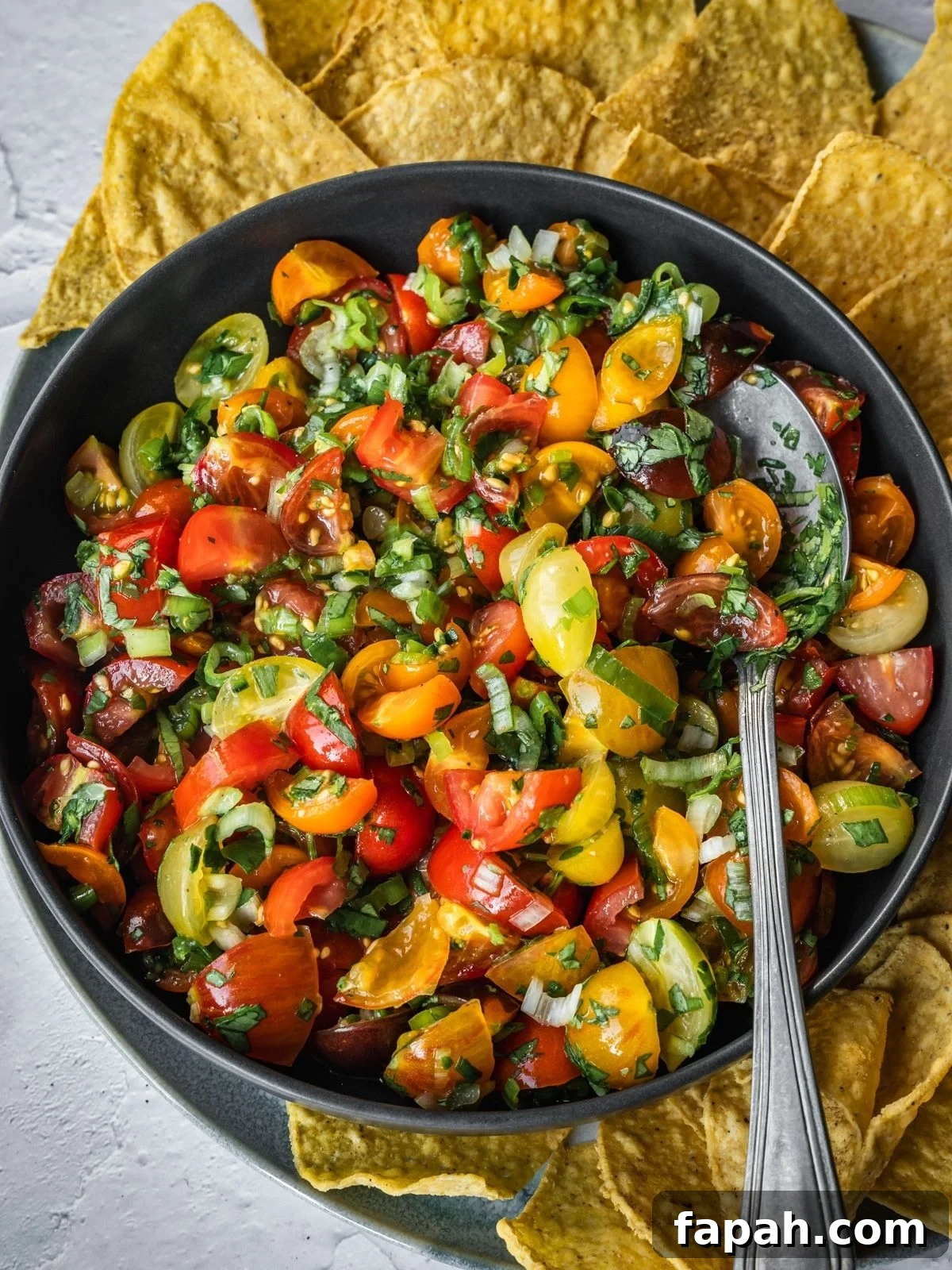 Fresh Cherry Tomato Pico de Gallo Salsa Recipe 8 Cherry tomato salsa in a bowl with a spoon and a side of tortilla chips.