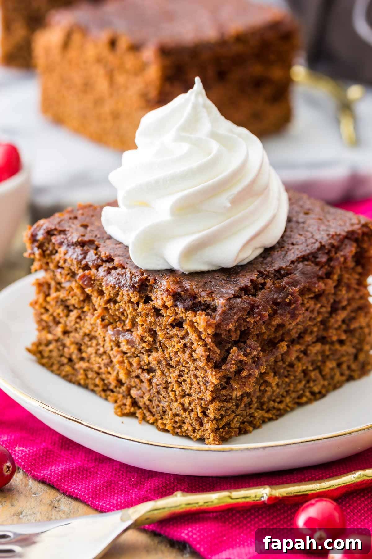 Classic Homemade Gingerbread Recipe for Soft, Spiced Cookies 2 A square slice of gingerbread on a white plate topped with dollop of whipped cream