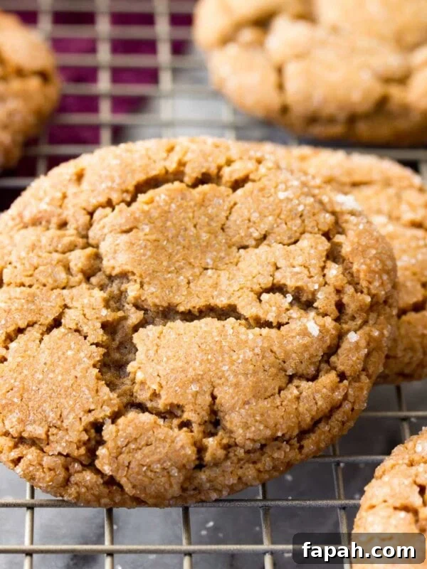 Classic Homemade Gingerbread Recipe for Soft, Spiced Cookies 11 Crackly topped molasses cookies on a cooling rack
