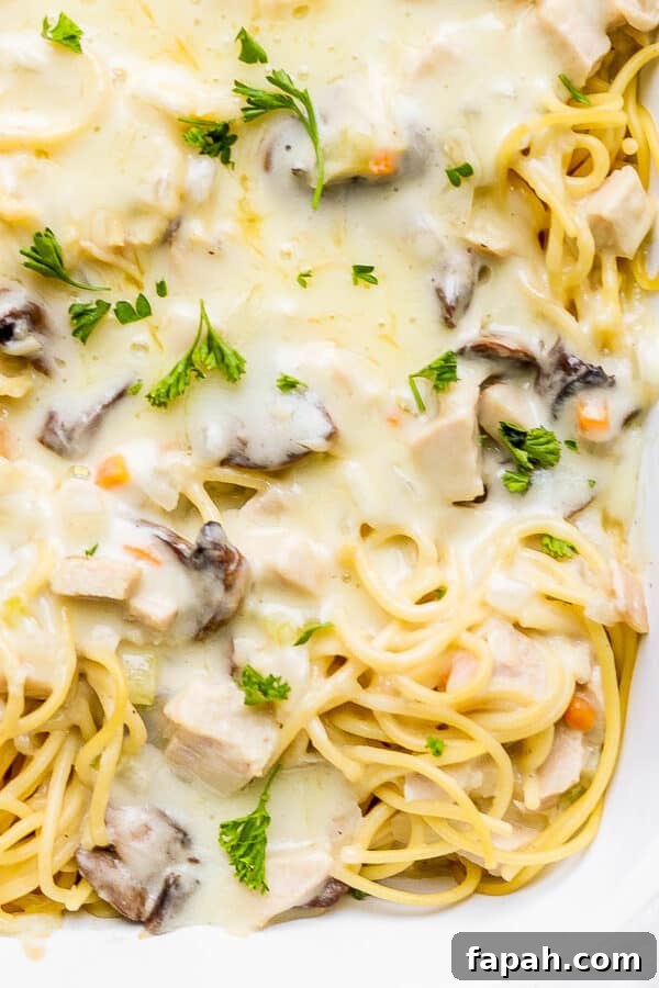 Turkey Tetrazzini