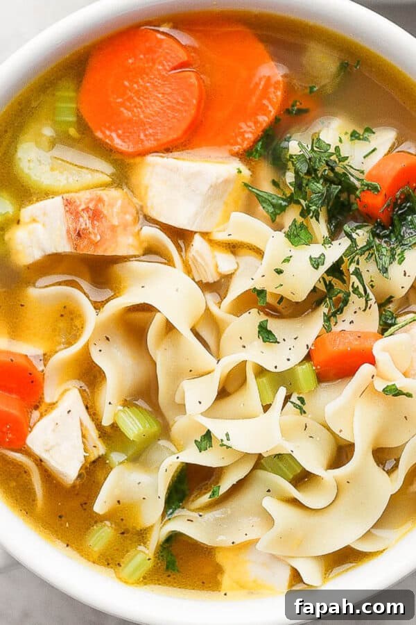 Leftover Turkey Noodle Soup