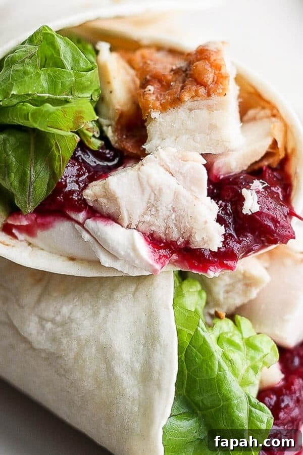 Turkey Cranberry Wrap