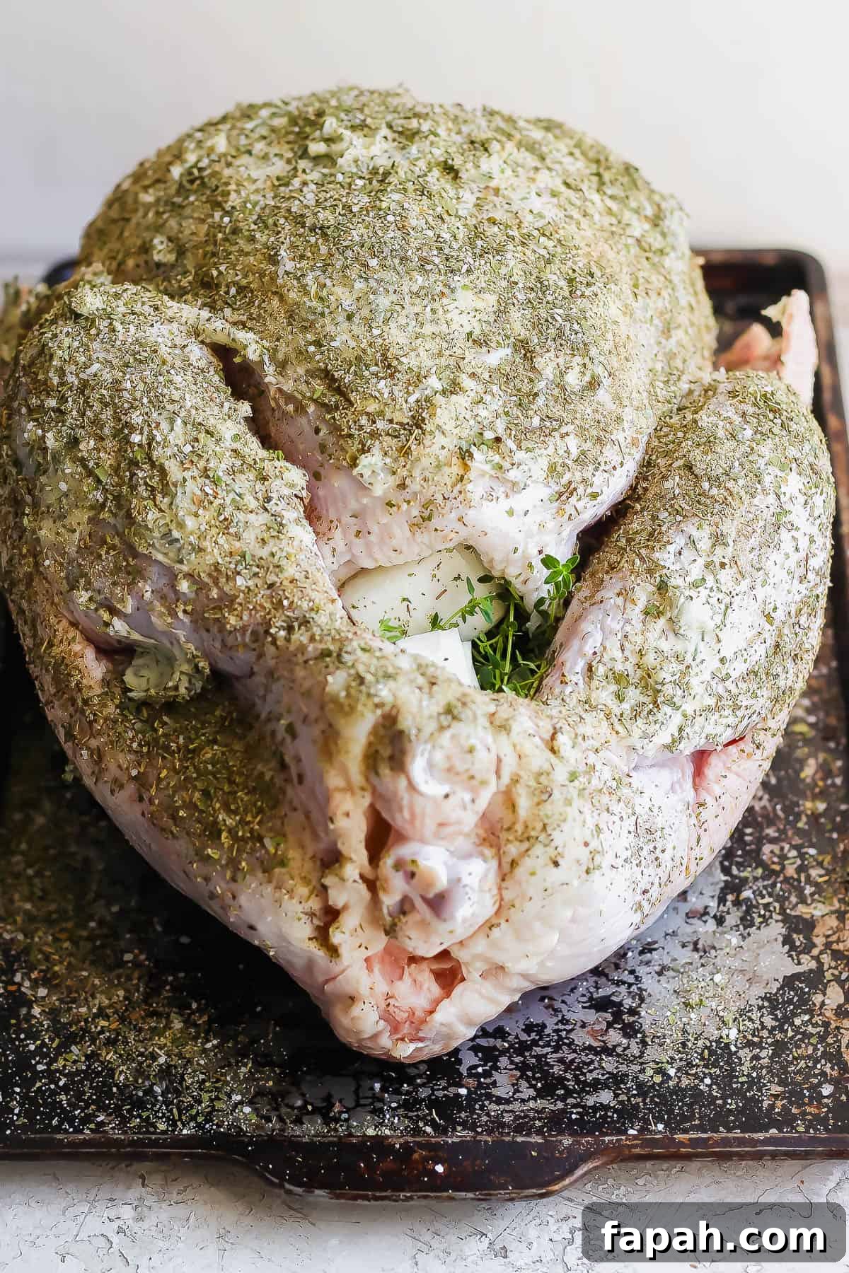 A whole, raw turkey on a baking sheet covered in butter and a turkey dry rub. 