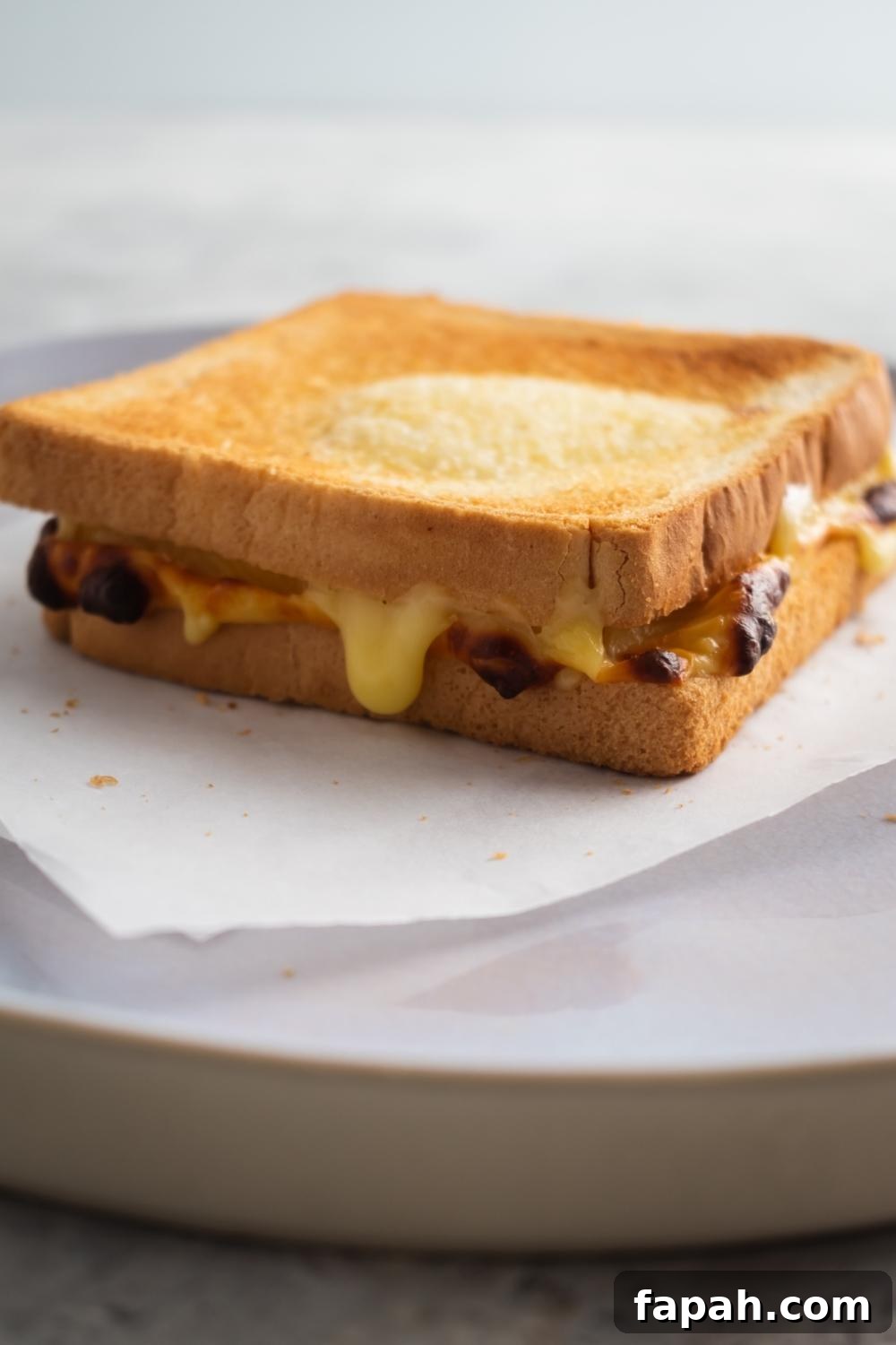 A close-up of an air fryer grilled cheese with golden brown toast.