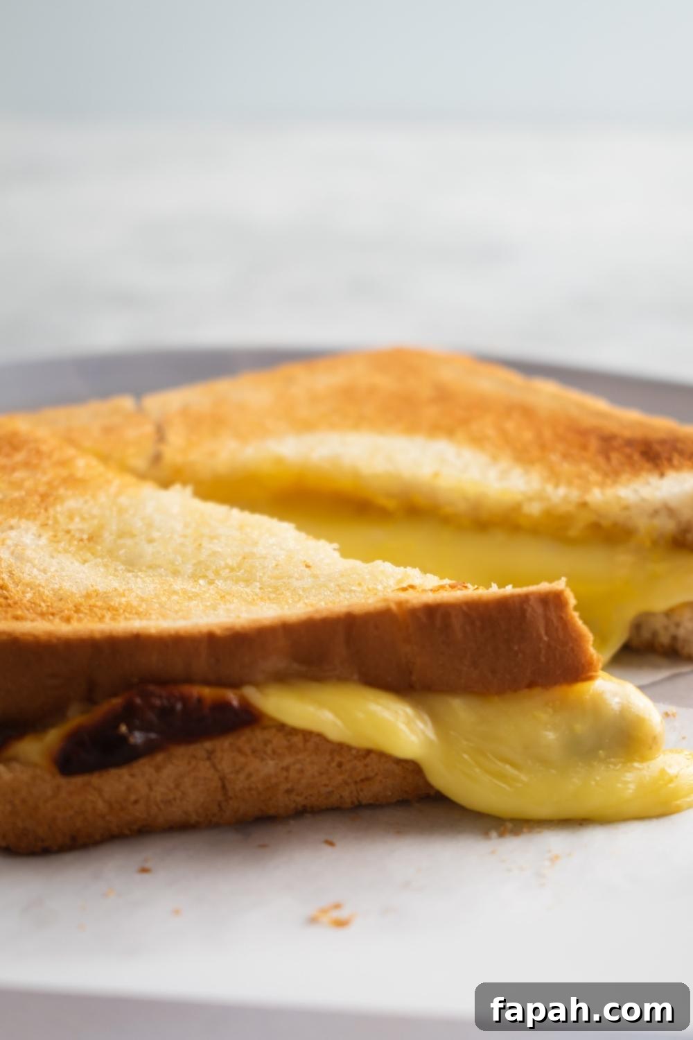 A close-up of an air fryer grilled cheese sandwich sliced in half with melted cheese overflowing the slices.
