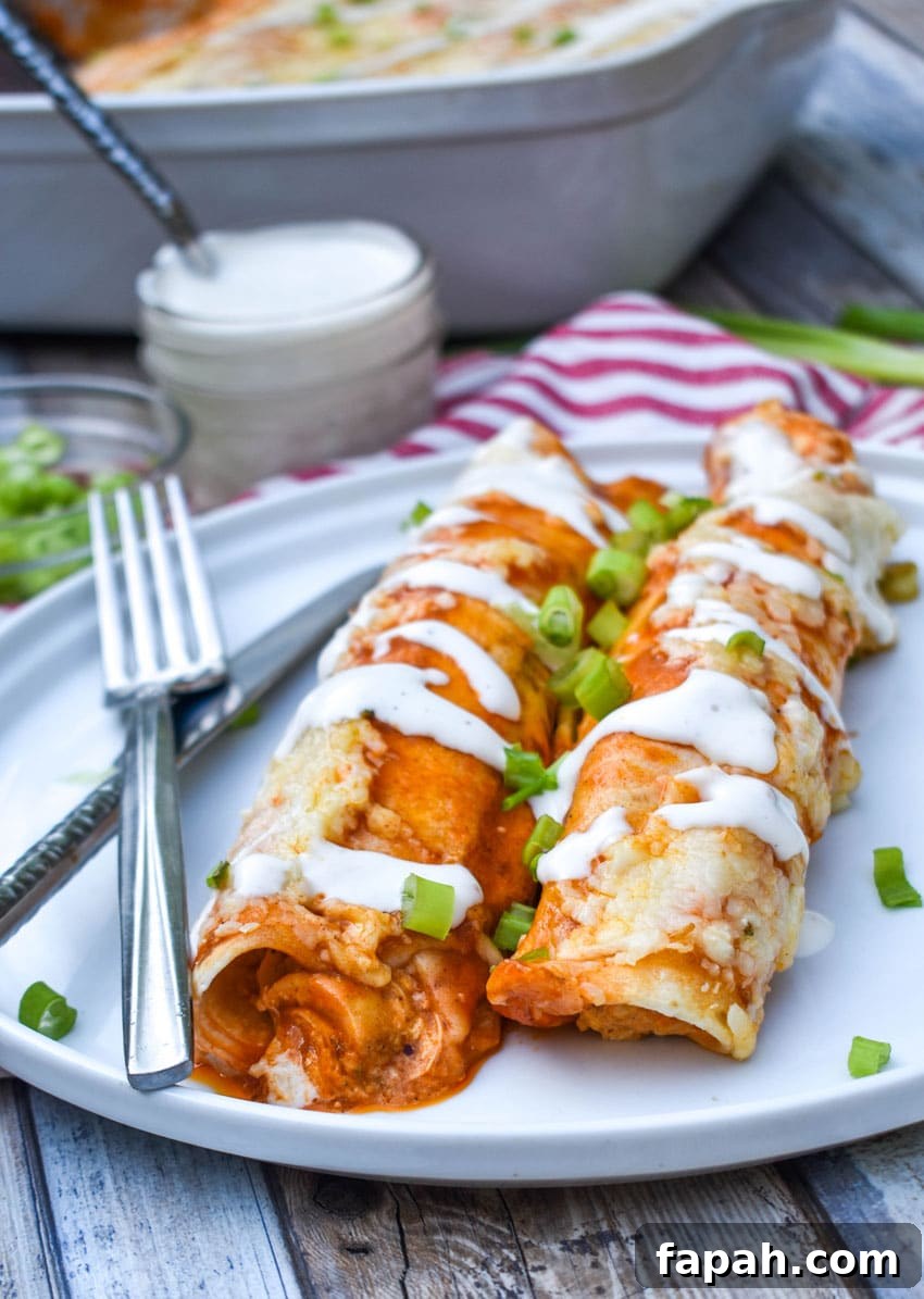 two buffalo chicken enchiladas topped with a drizzle of ranch dressing and sliced green onions on a white plate