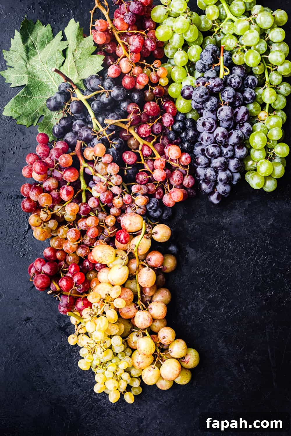 Red, green, orange, yellow, and purple grapes on the vine on a black background; overhead shot.
