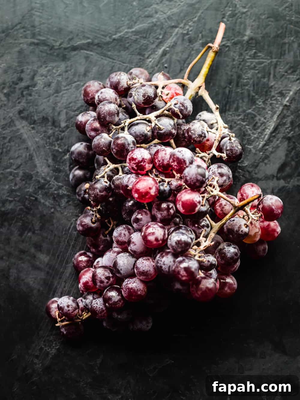 Grapes on the vine on a black background; overhead shot.