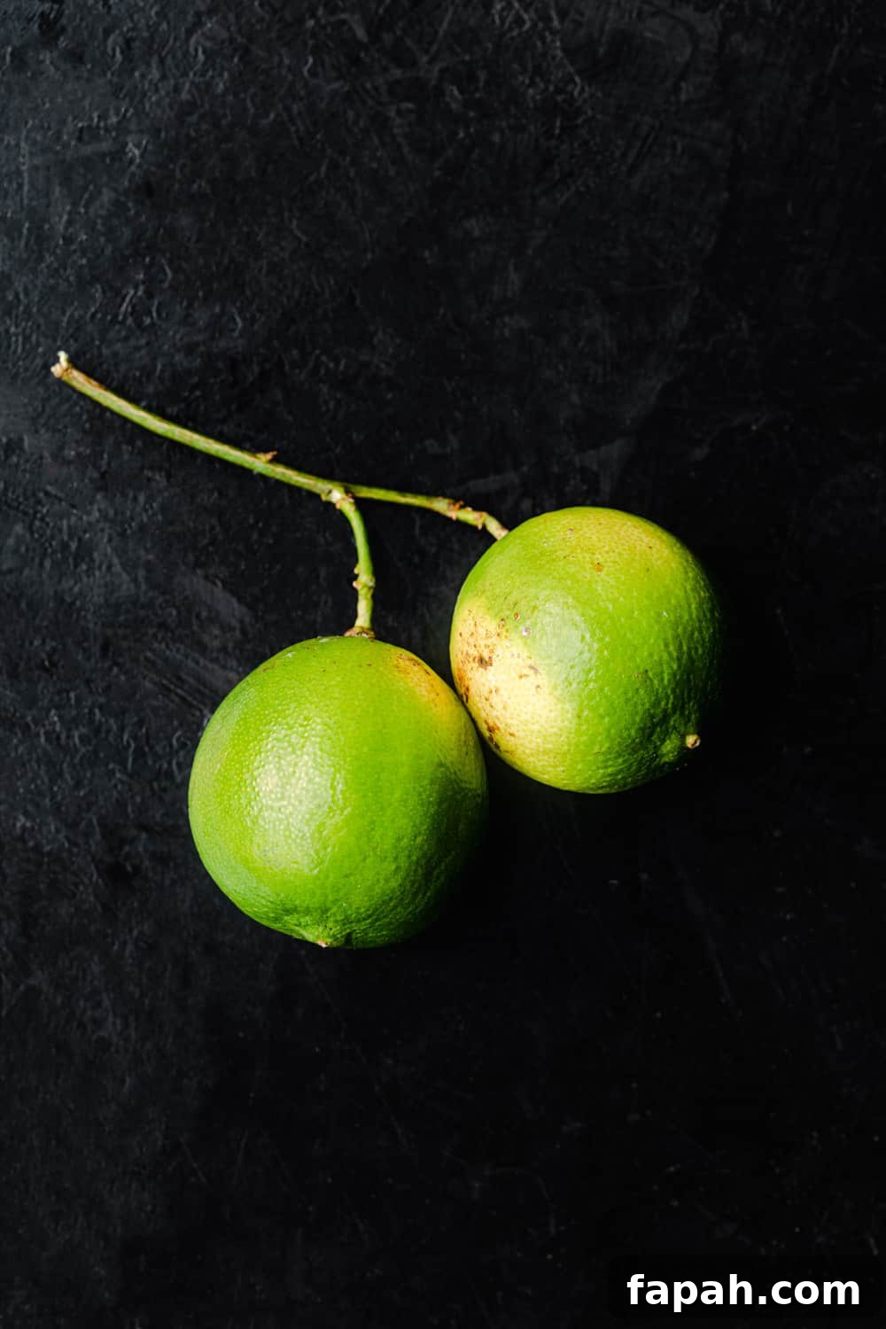 2 limes, still attached on the vine, on a black background, overhead shot.