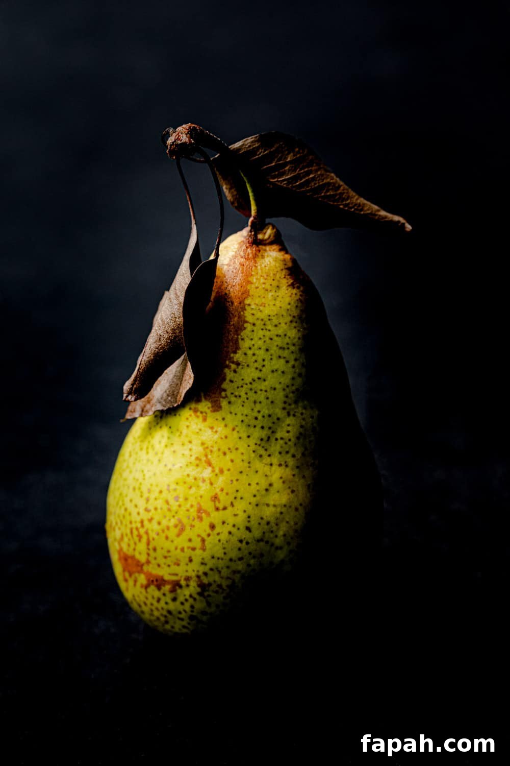 One side of a pear that's green, with the leaves still on it, straight on and up close shot, on a black background.