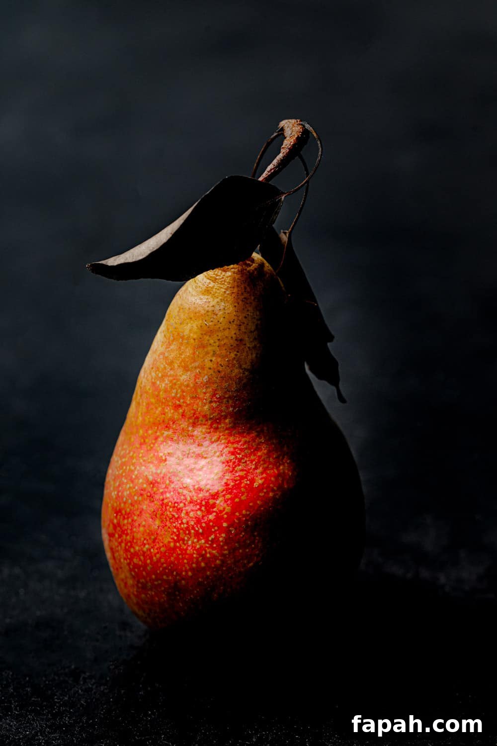 One red pear, with leaves still on it, straight on and up close shot, on a black background.
