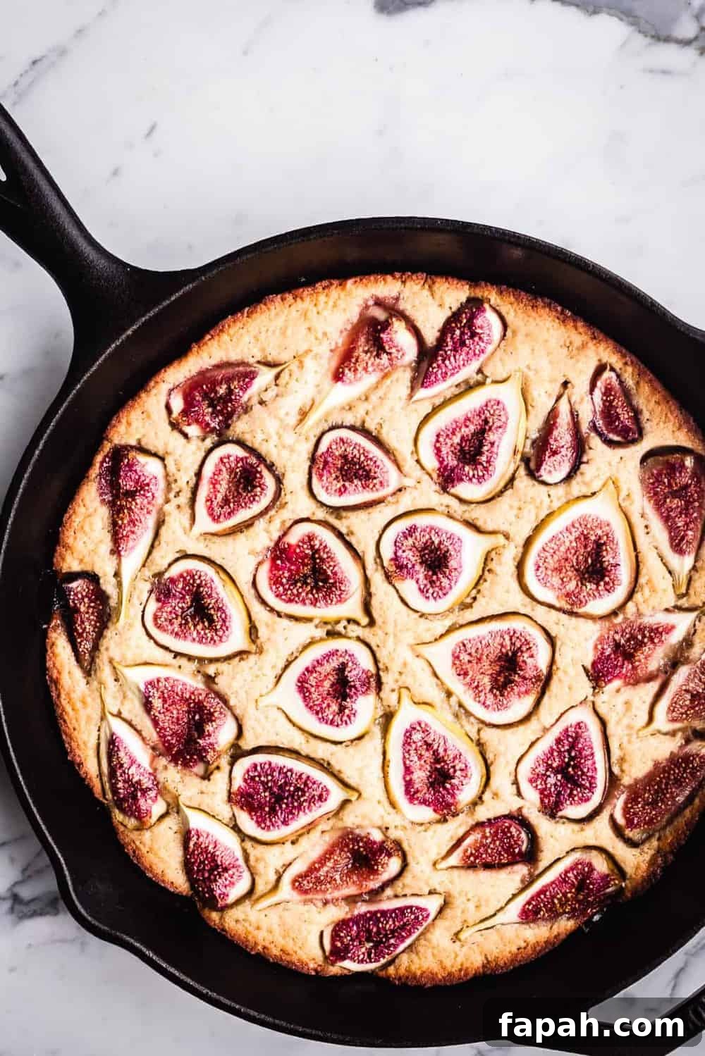 Fig Cake just out of the oven, overhead shot.