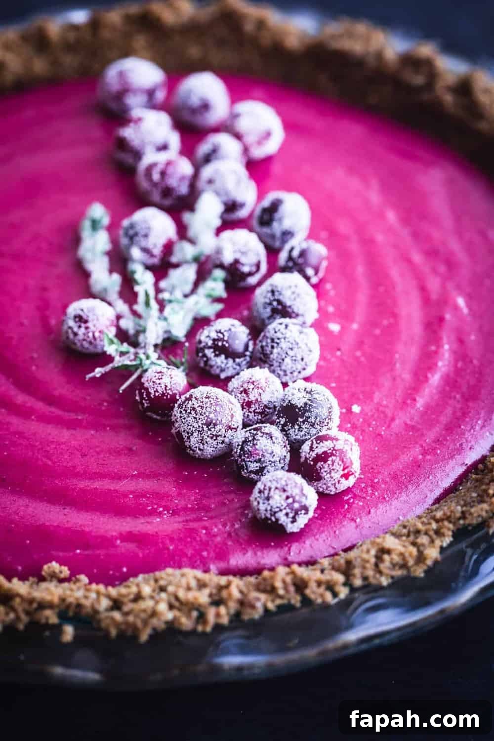 Cranberry gingersnap pie topped with sugared cranberries and thyme, side angle shot.