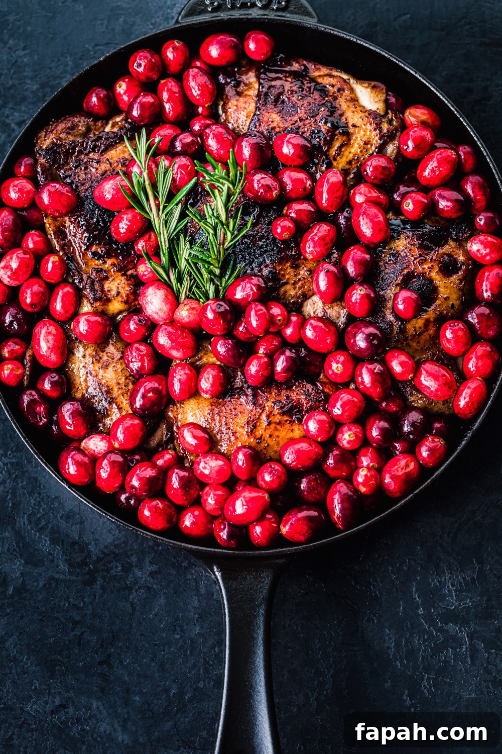 Cranberry chicken pre-oven, overhead shot.