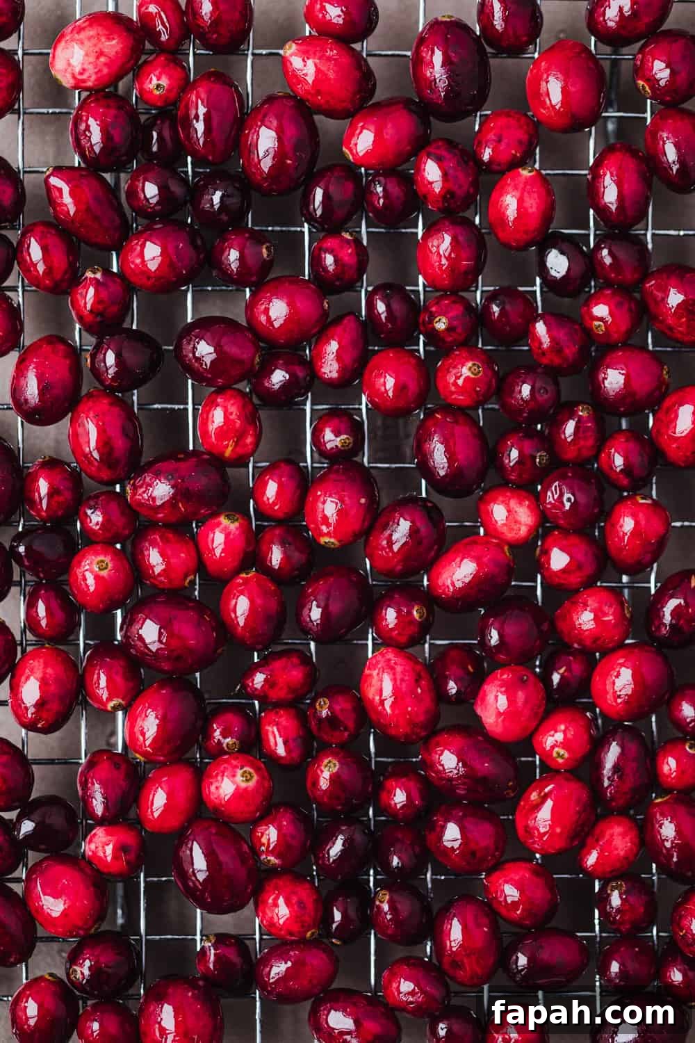 In process shot of cranberries being candied and drying on a wire rack; overhead shot.