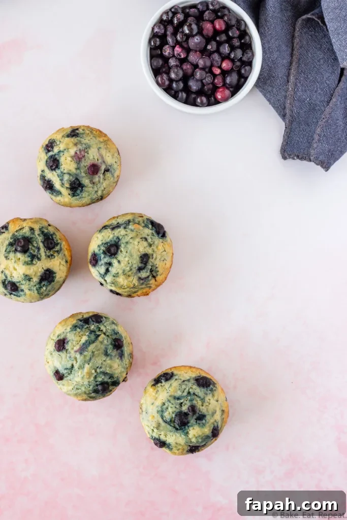 Classic Blueberry Muffin Recipe for Fluffy, Sweet Muffins 5 easy to make, healthier, light and fluffy blueberry muffins