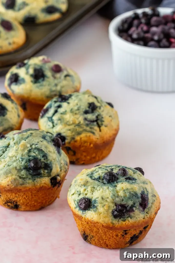 Classic Blueberry Muffin Recipe for Fluffy, Sweet Muffins 6 easy, soft and fluffy, blueberry muffins