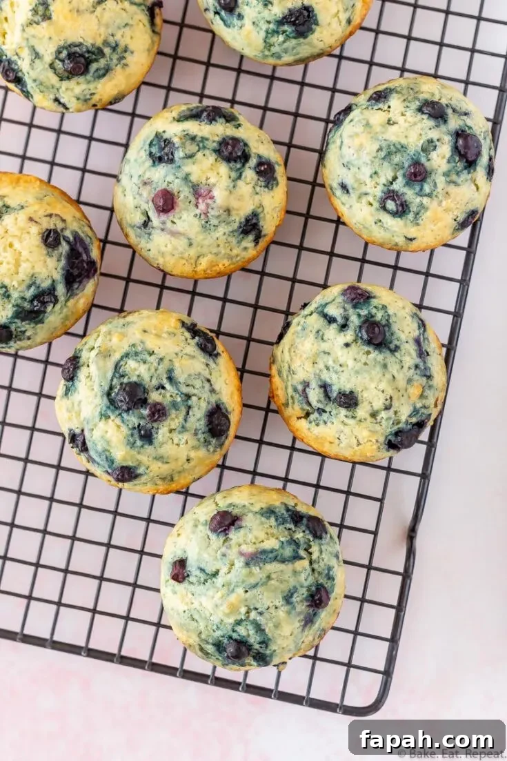 easy blueberry muffins on a rack