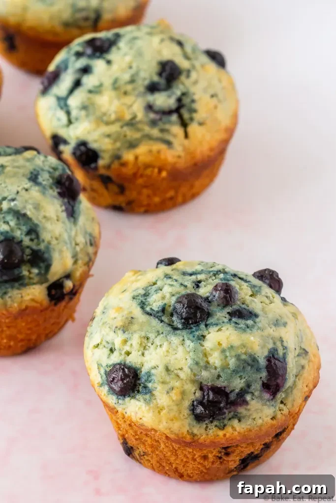 Classic Blueberry Muffin Recipe for Fluffy, Sweet Muffins 2 easy blueberry muffins