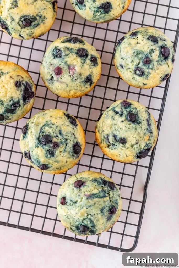 Classic Blueberry Muffin Recipe for Fluffy, Sweet Muffins 3 easy blueberry muffins on a rack