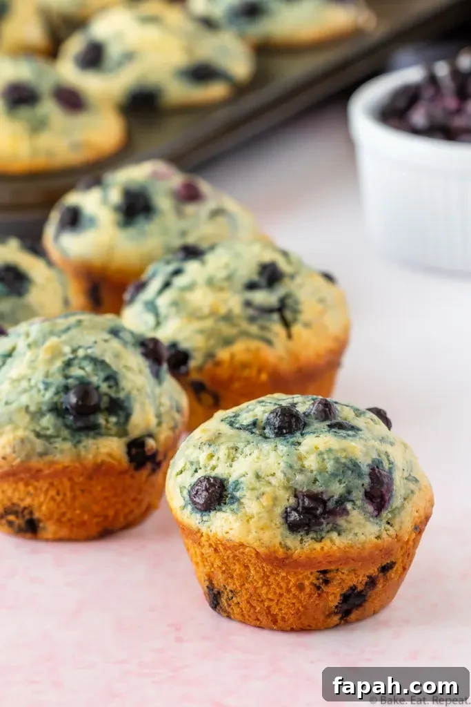 Classic Blueberry Muffin Recipe for Fluffy, Sweet Muffins 4 easy blueberry muffins