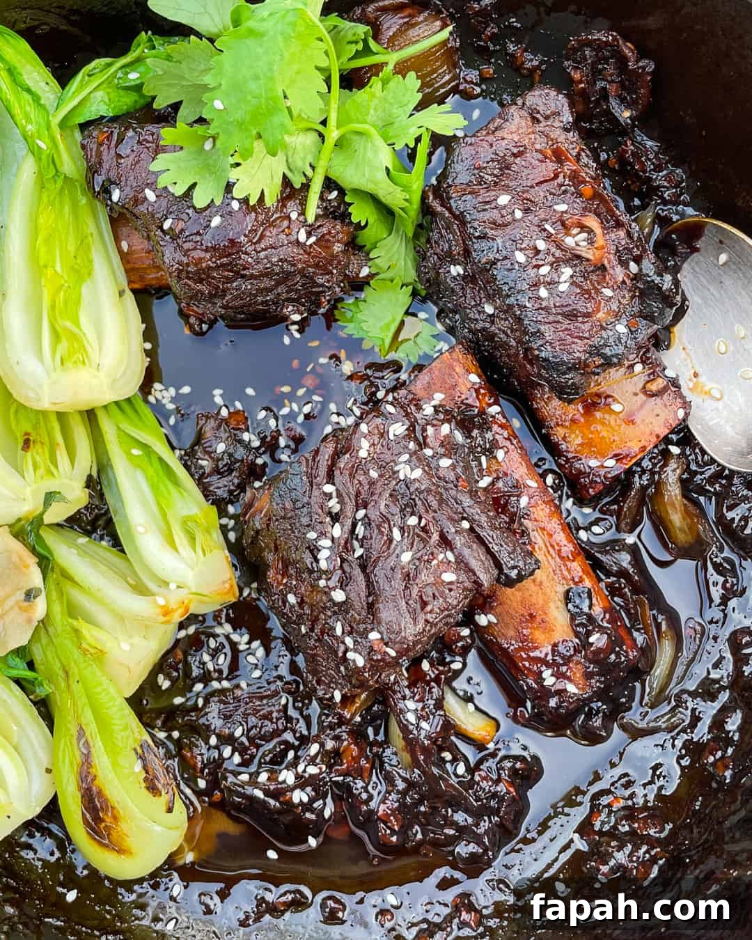 Sweet Chili Braised Beef Short Ribs with Stir-Fried Bok Choy and Rice Primal Gourmet
