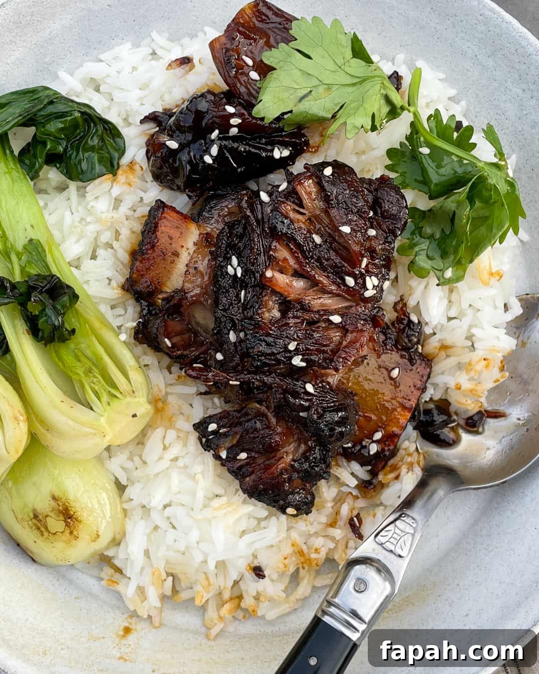 Sweet Chili Braised Beef Short Ribs with Stir-Fried Bok Choy and Rice Primal Gourmet