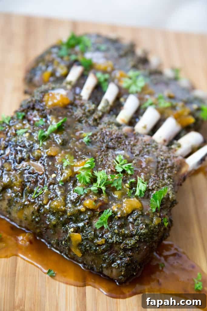 spring recipes