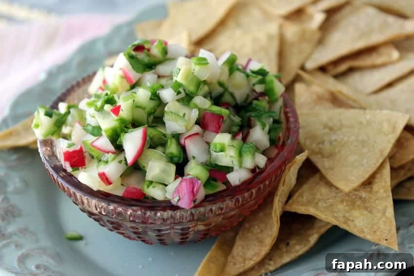 radish cucumber salsa recipe