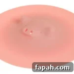 img 1349 1