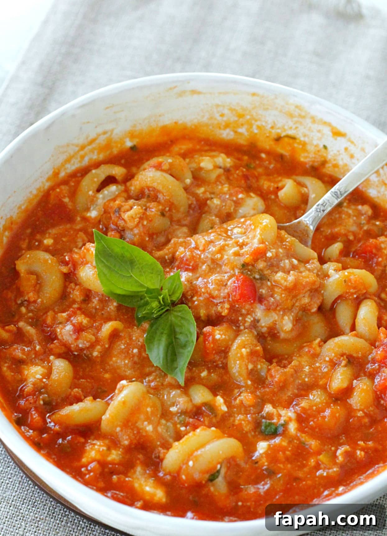 Hearty Lasagna Soup with Italian Sausage and Mozzarella 5 the best lasagna soup recipe