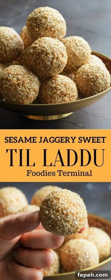 Sesame Ladoo Recipe: Traditional Til Laddu for Festivals 14 Til ke laddu with sesame and jaggery