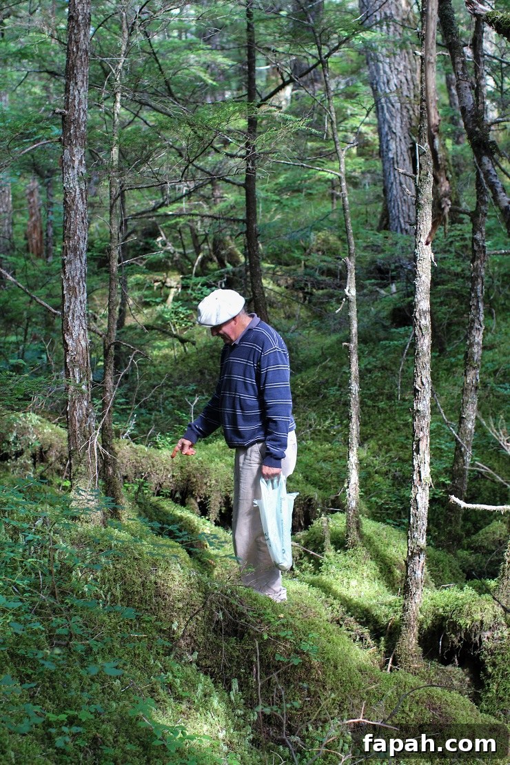 Copper River Salmon in Cordova, Alaska — Part Two 22 Foraging for mushrooms in Cordova, AK #travel