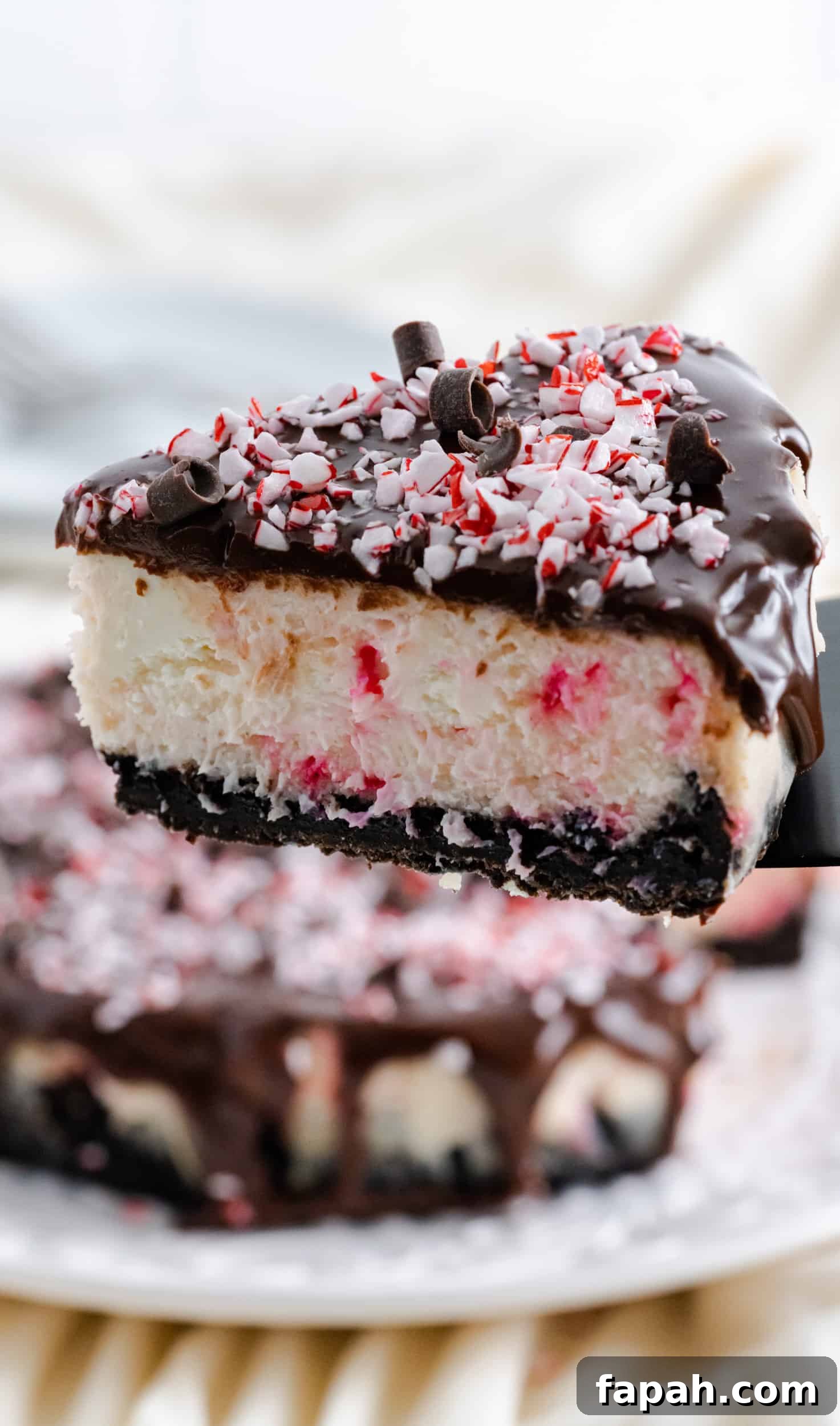 Slice of peppermint cheesecake topped with chocolate and crushed peppermint candies.