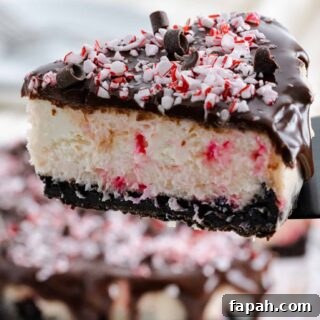Slice of peppermint cheesecake