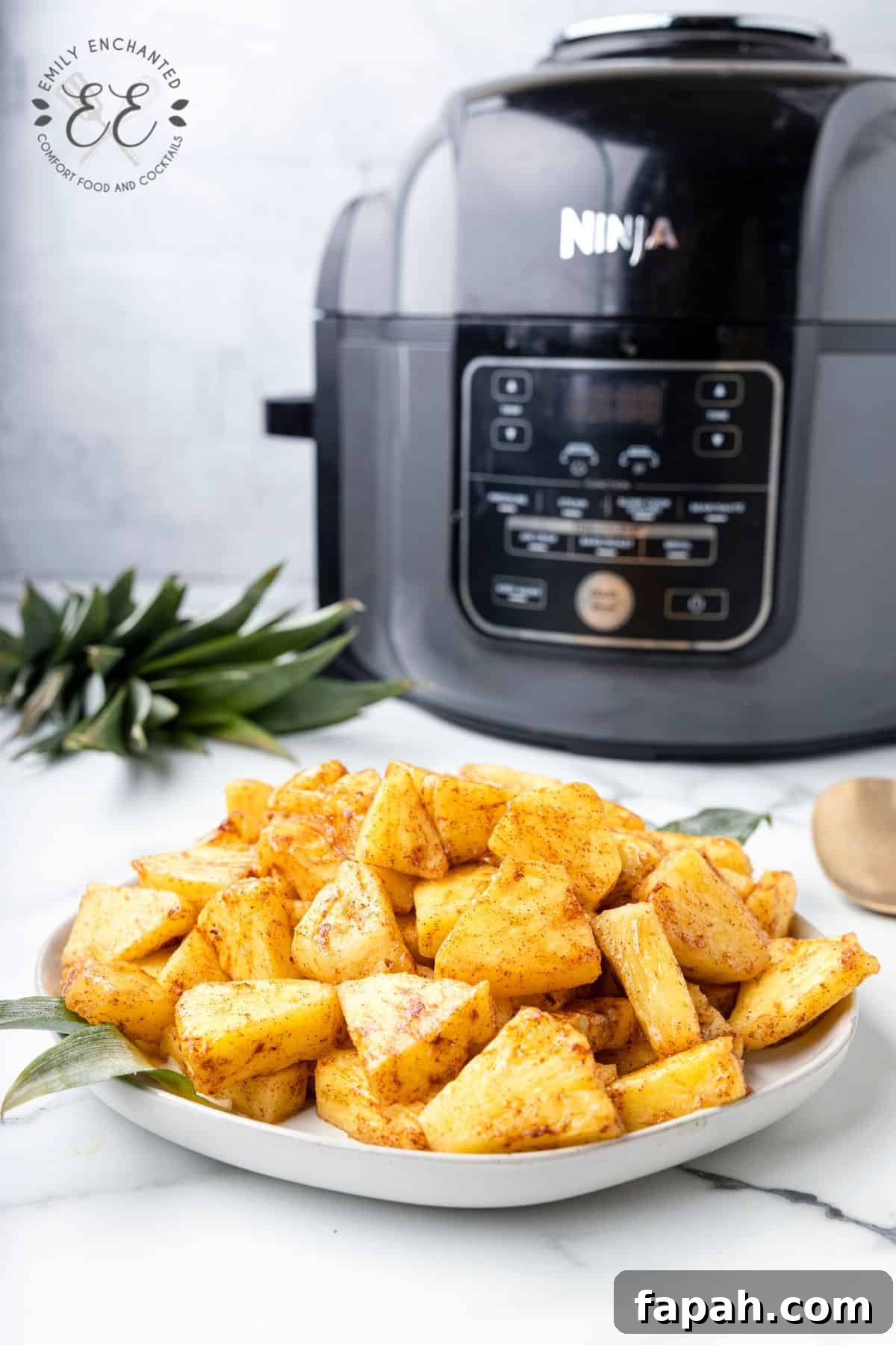 Air Fryer Pineapple
