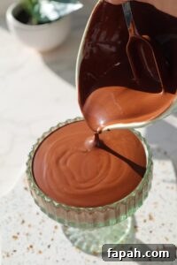 tofu chocolate pudding shell