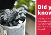 Top Lump Charcoal for Smoking: 2023 Buyer’s Guide