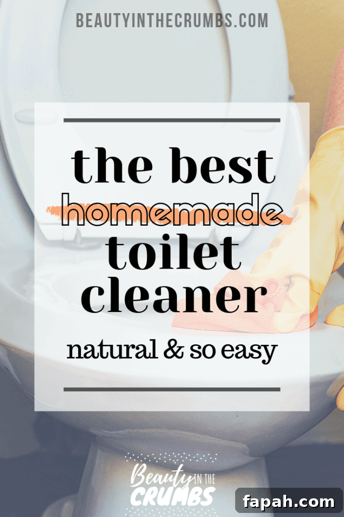 DIY Homemade Toilet Bowl Cleaner Recipe for Sparkling Results 3 DIY natural toilet bowl cleaner