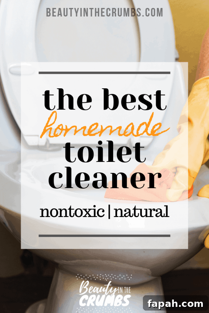 DIY Homemade Toilet Bowl Cleaner Recipe for Sparkling Results 4 Best natural DIY homemade toilet bowl cleaner to remove stains