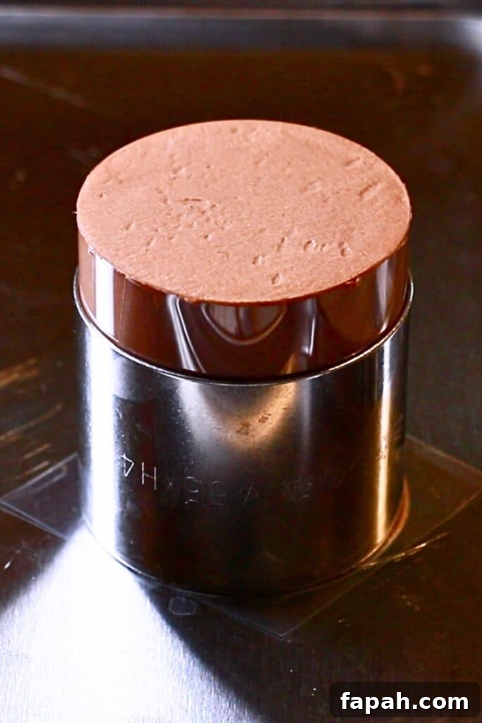 Decadent Chocolate Mousse Recipe for Silky, Airy Dessert 18 mini chocolate mousse cake in a cake ring before freezing it