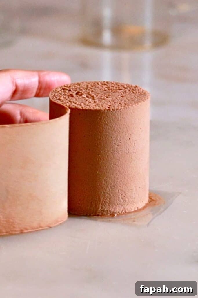 Decadent Chocolate Mousse Recipe for Silky, Airy Dessert 19 mini chocolate mousse cake after freezing it